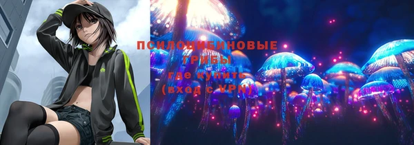 мдпв Вязники