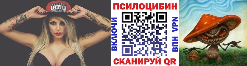 маркетплейс телеграм  дарнет шоп  Подпорожье  Псилоцибиновые грибы Psilocybine cubensis 